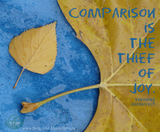 Comparison is the thief of joy. Theodore Roosevelt